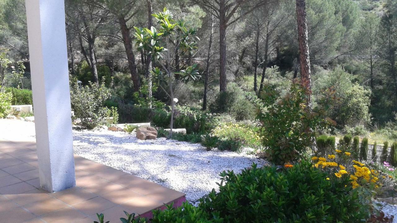 Casa Encantadora Con Piscina Privada Y Chimenea Villa Las Jaras Exterior foto